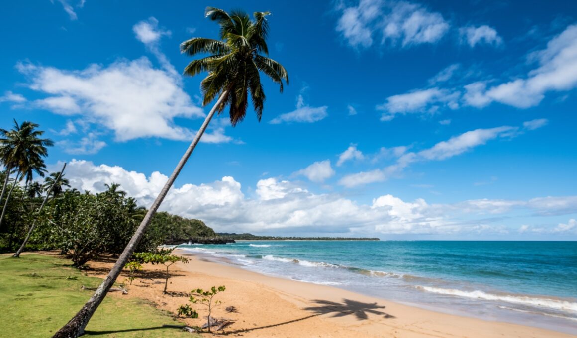 beach-view-samana