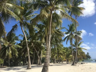 cover-las-terrenas-beach