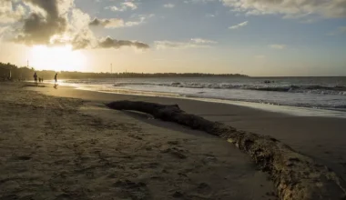 sunset-in-cabarete-beach